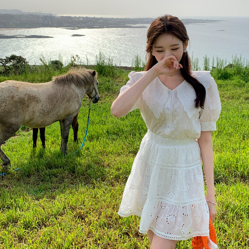 러블리 빅카라 레이스 반팔 블라우스 bs6937 - 상세 이미지 4