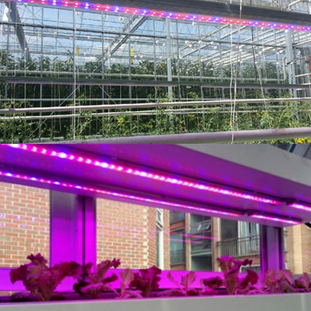 농업용 led 40W 2M 식물용 led 식물 재배 등 전등 성장 조명 생장 전구 - 상품 이미지