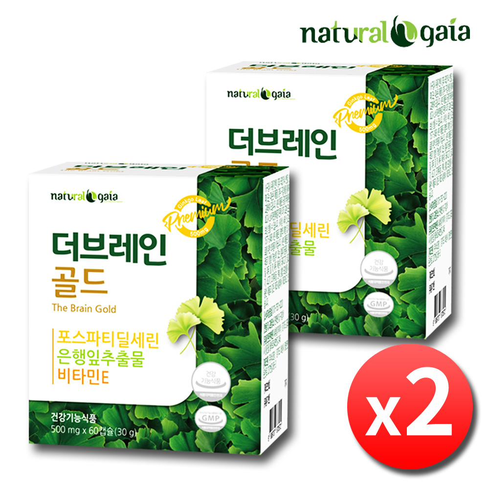포스파티딜세린 징코 두뇌 기억력 뇌 포스타딜세린 영양제 2박스