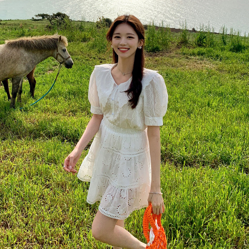 러블리 빅카라 레이스 반팔 블라우스 bs6937 - 상세 이미지 5