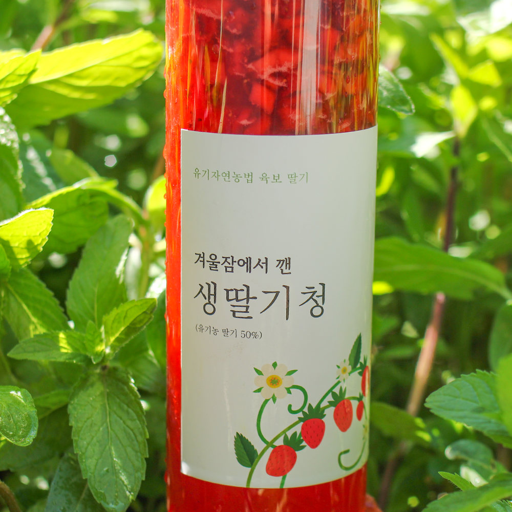 유기농 육보 딸기청 500ml 2병 딸기라떼 - 상세 이미지 3