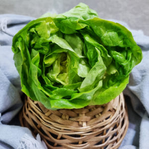 무농약 유러피안 샐러드 야채 모듬 상추 유럽 쌈채소 맛있게 먹은 솔직 후기 - 상품 이미지 2