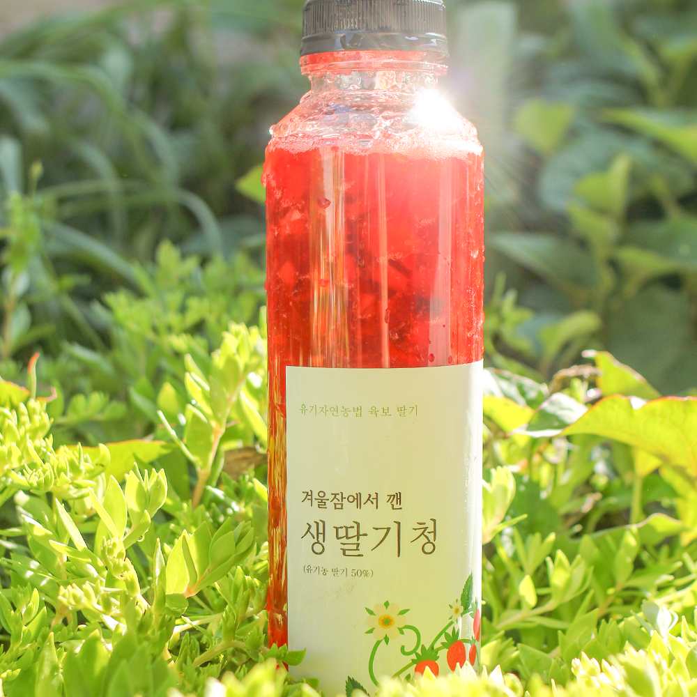 유기농 육보 딸기청 500ml 2병 딸기라떼 - 상품 이미지