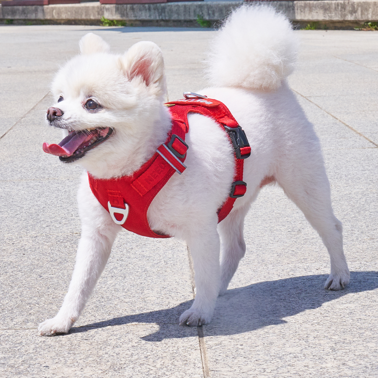 인터라켄 초경량 강아지 라이트 하네스 H형 소형견 대형견 앞섬방지 앞고리 가슴줄