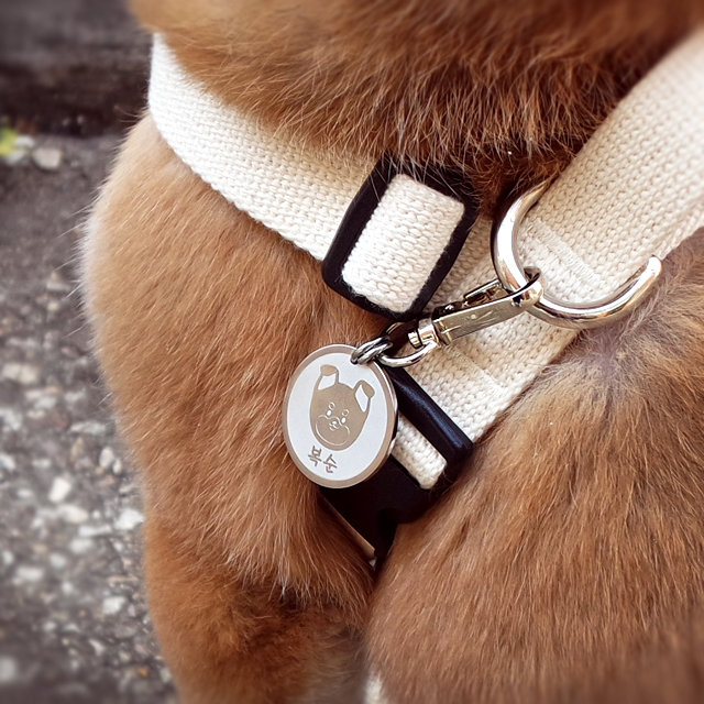 강아지 인식표 목걸이 후크형 외장칩 25mm(실버무광블랙) 물방울 실버고리 그림