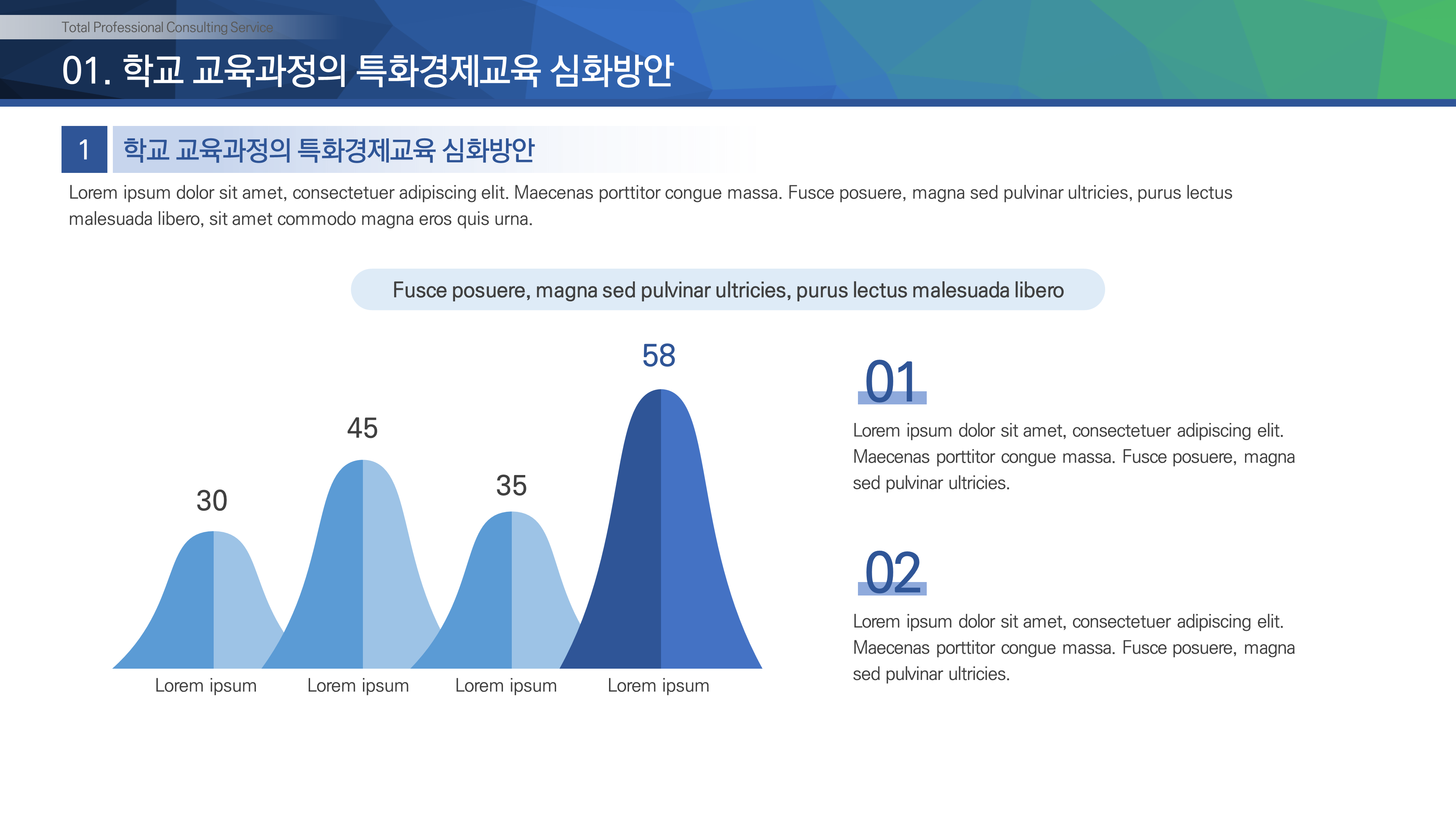 585 보고서 제안서 ppt 템플릿 마케팅 기획 세미나 사업계획서 IR 깔끔한 피피티 - 상세 이미지 5