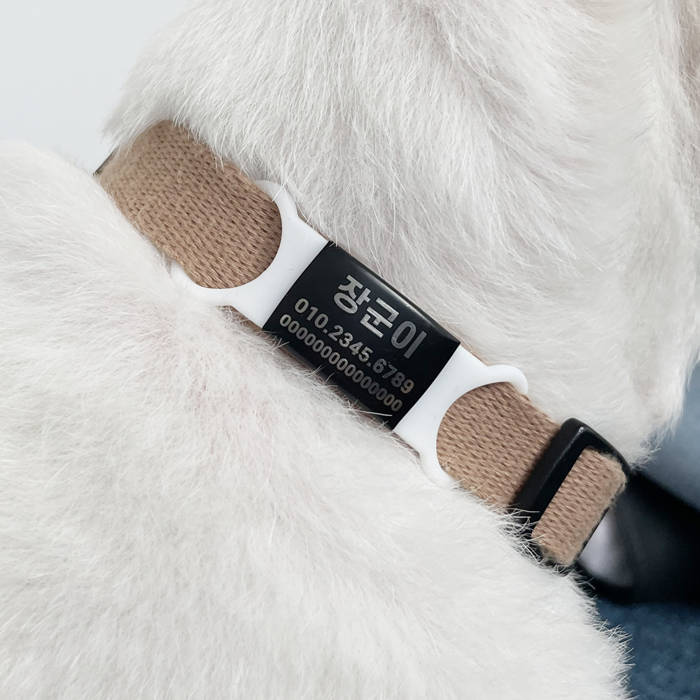 더오래 애견인식표 강아지 인식표 고양이 네임택 S/L 흰색끈+실버 이미지 3