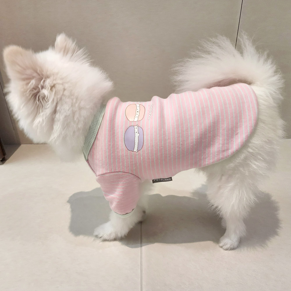 반려견 봄옷 강아지 실내복 내복 티셔츠 달콤 이미지 2