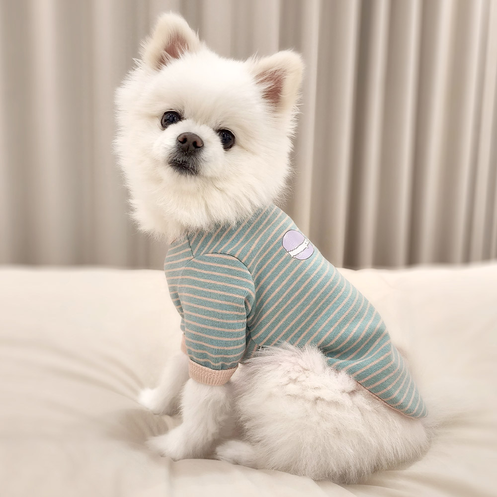 반려견 봄옷 강아지 실내복 내복 티셔츠 달콤 제품 이미지