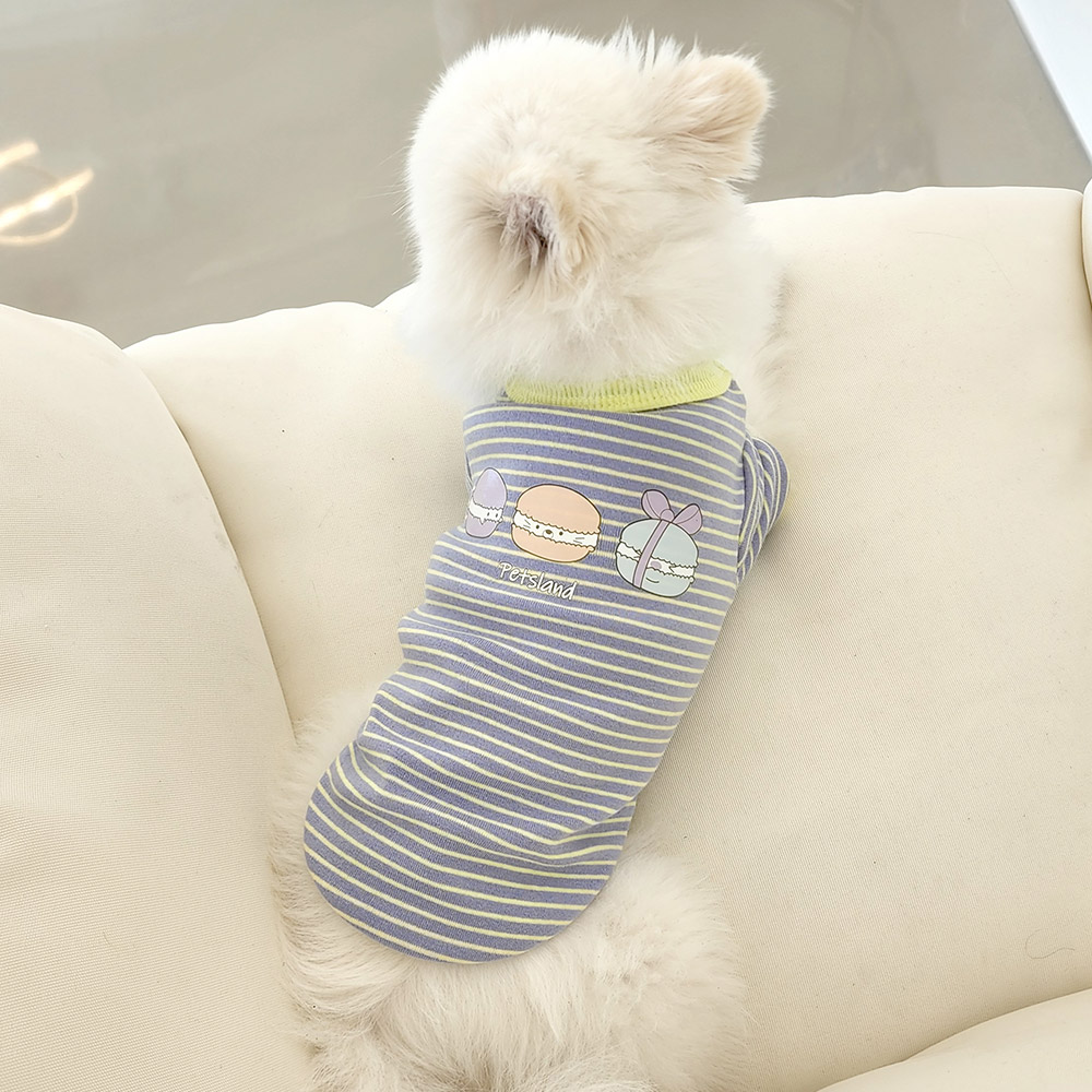 강아지 실내복 봄옷 티셔츠 강아지옷 달콤+롤리기획세트