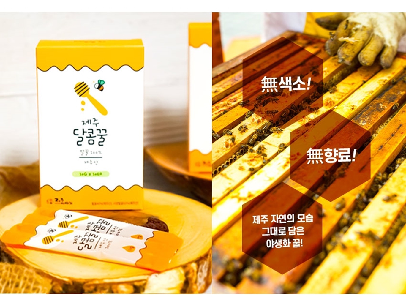 제주도 휴대용 꿀 허니 스틱 하루 벌꿀 제주달콤꿀 10gx10개 10박스 100포 선물박스손잡이용 답례품 실속형 간편 꿀스틱 - 상세 이미지 3