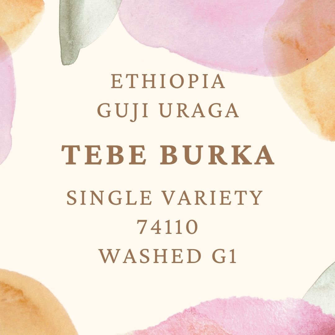 에티오피아 구지 우라가 테베 부르카 싱글 버라이어티 74110 워시드 G1 1KG (GUJI URAGA TEBE BURKA)