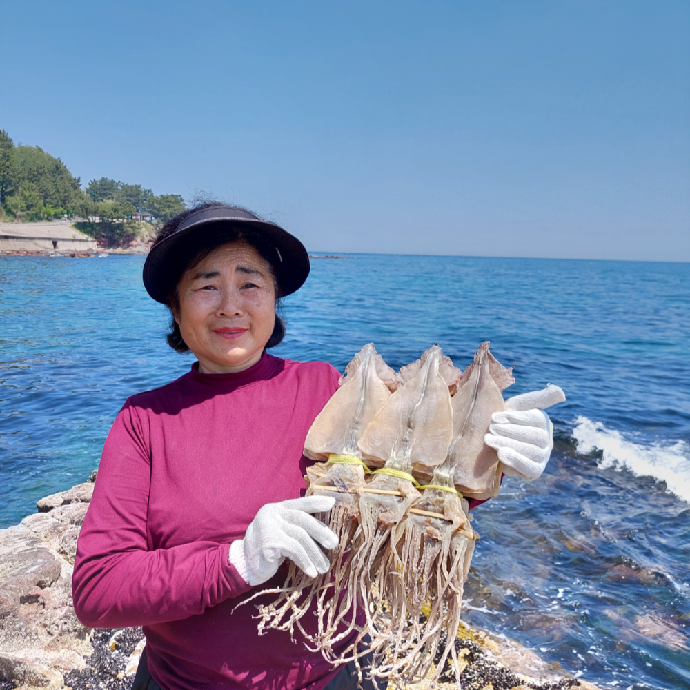 오징어엄마 마른오징어 건조오징어 건오징어 말린 왕특 5미