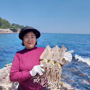오징어엄마 마른오징어 건조오징어 건오징어 말린 왕특 5미 맛있게 먹은 솔직 후기 - 상품 이미지 1