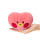 Line Friends BT21 TATA Mininini Petit Cushion