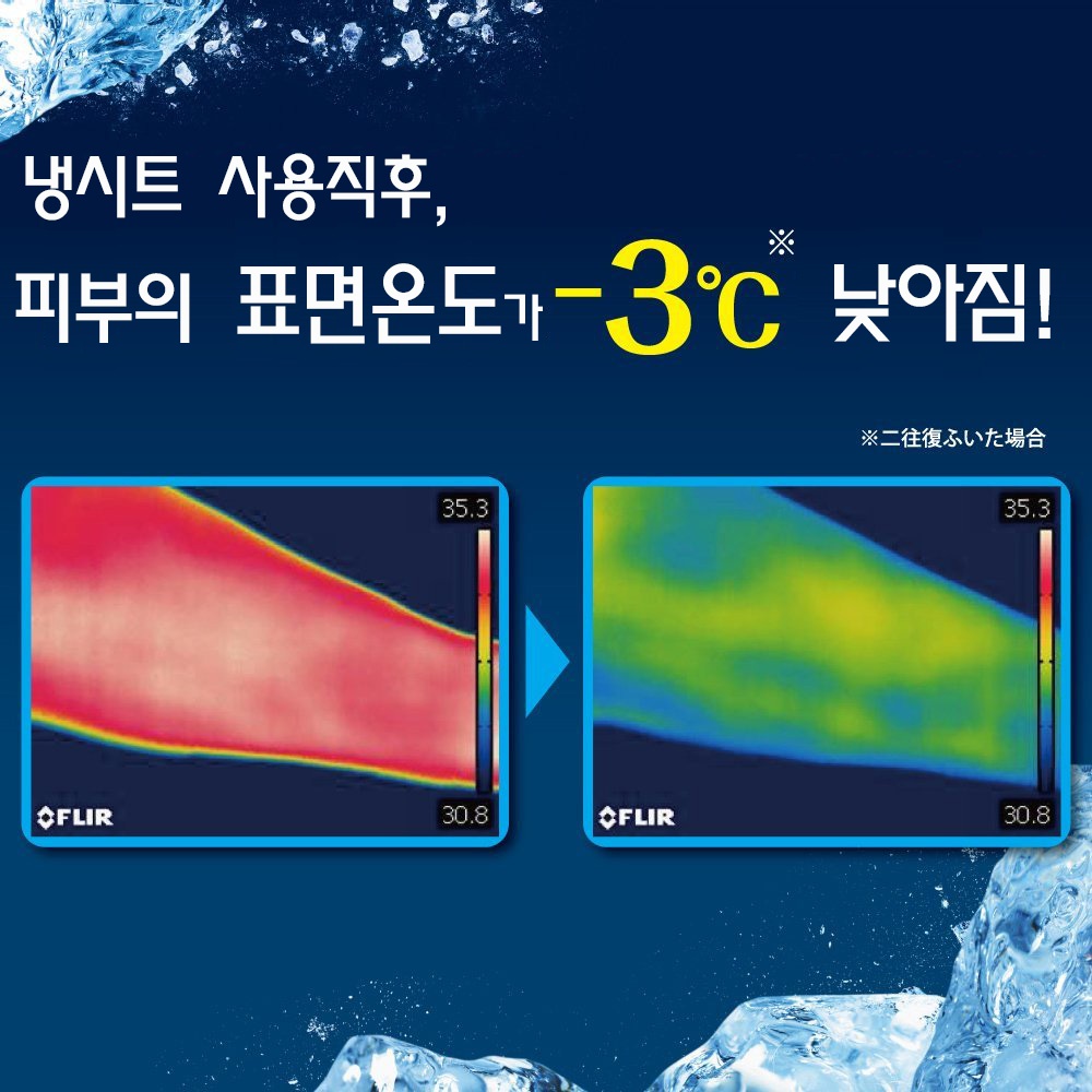 비오레 냉각시트 20매입 (3종류) 일본 biore 쿨 냉시트 대형