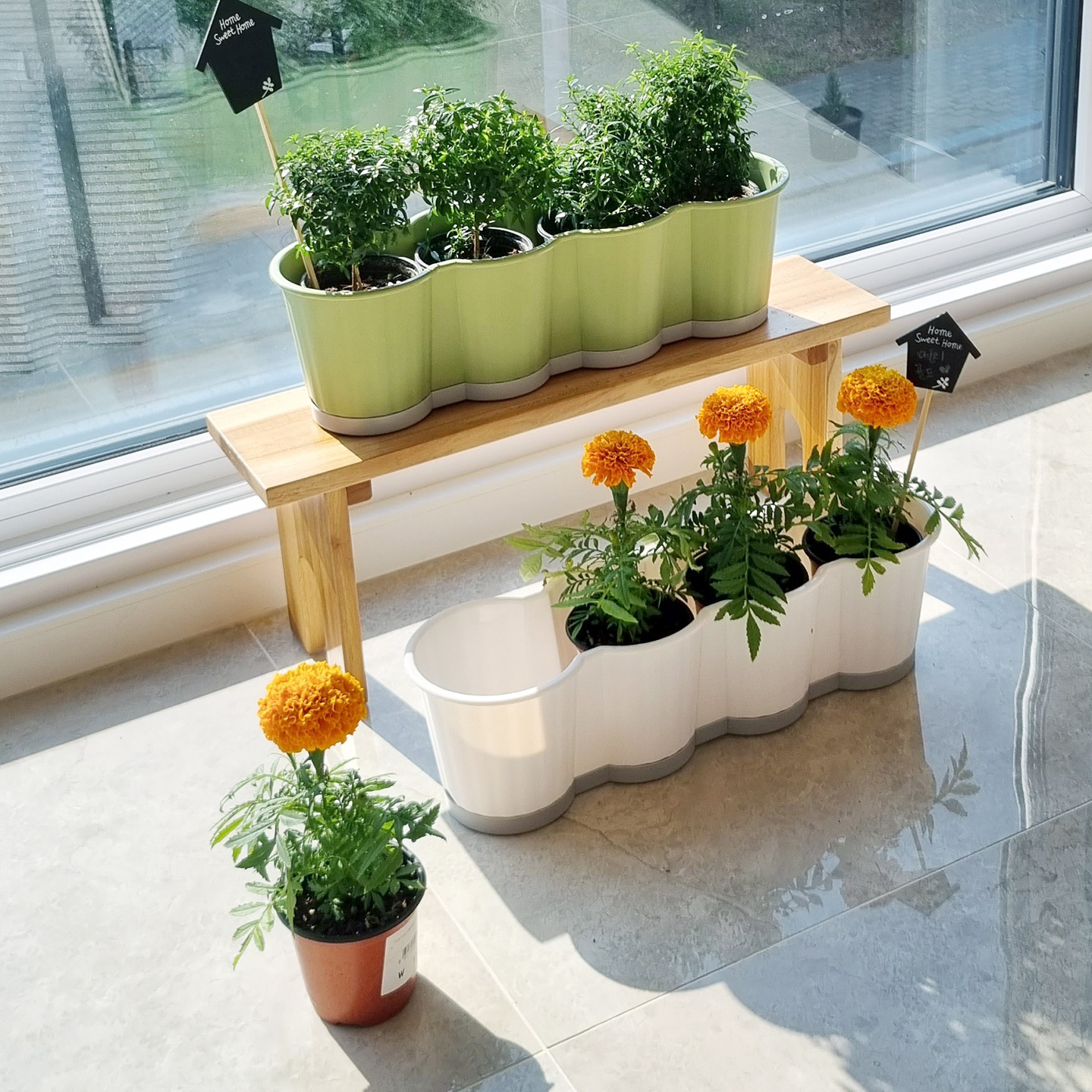 이즈리빙 [1+1] 모종화분 긴 텃밭화분 상추키우기 옥상 베란다텃밭 실사용 후기 | 효과 있을까? - 대표 이미지