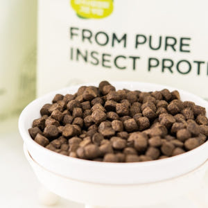 인섹트업 오리지널 강아지 알러지 사료 소프트 눈물 곤충 단일단백질 동애등... 솔직 후기 | 실제 사용자 리뷰 총정리 - 상품 이미지 2