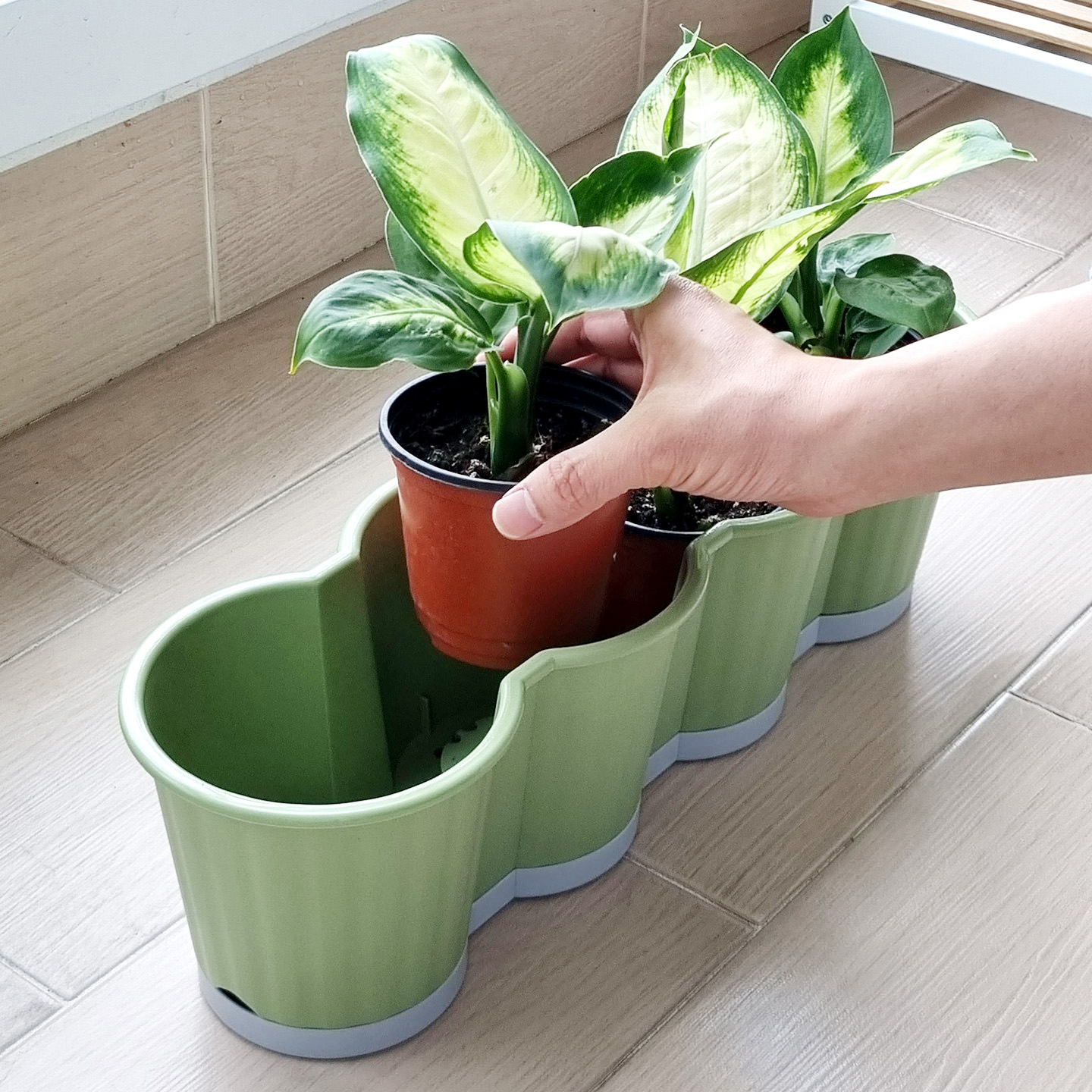 이즈리빙 [1+1] 모종화분 긴 텃밭화분 상추키우기 옥상 베란다텃밭 이미지 2