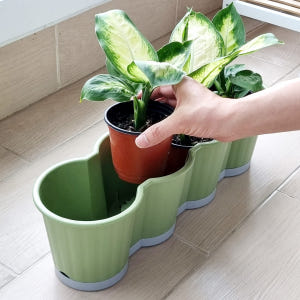 이즈리빙 [1+1] 모종화분 긴 텃밭화분 상추키우기 옥상 베란다텃밭 실사용 후기 | 효과 있을까? - 상품 이미지 2