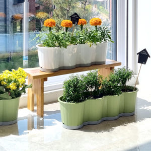 이즈리빙 [1+1] 모종화분 긴 텃밭화분 상추키우기 옥상 베란다텃밭 실사용 후기 | 효과 있을까? - 상품 이미지 3