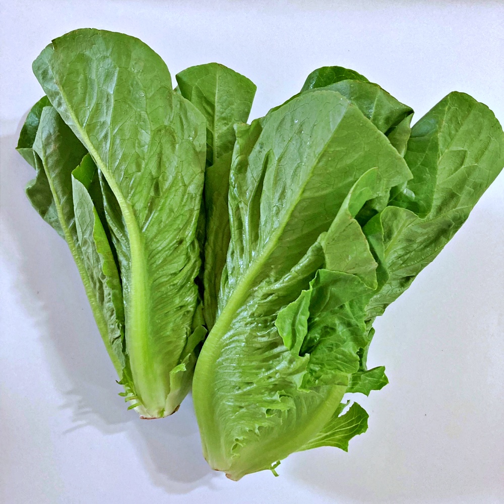 통로메인 로메인상추 2kg 쌈채소 - 상품 이미지