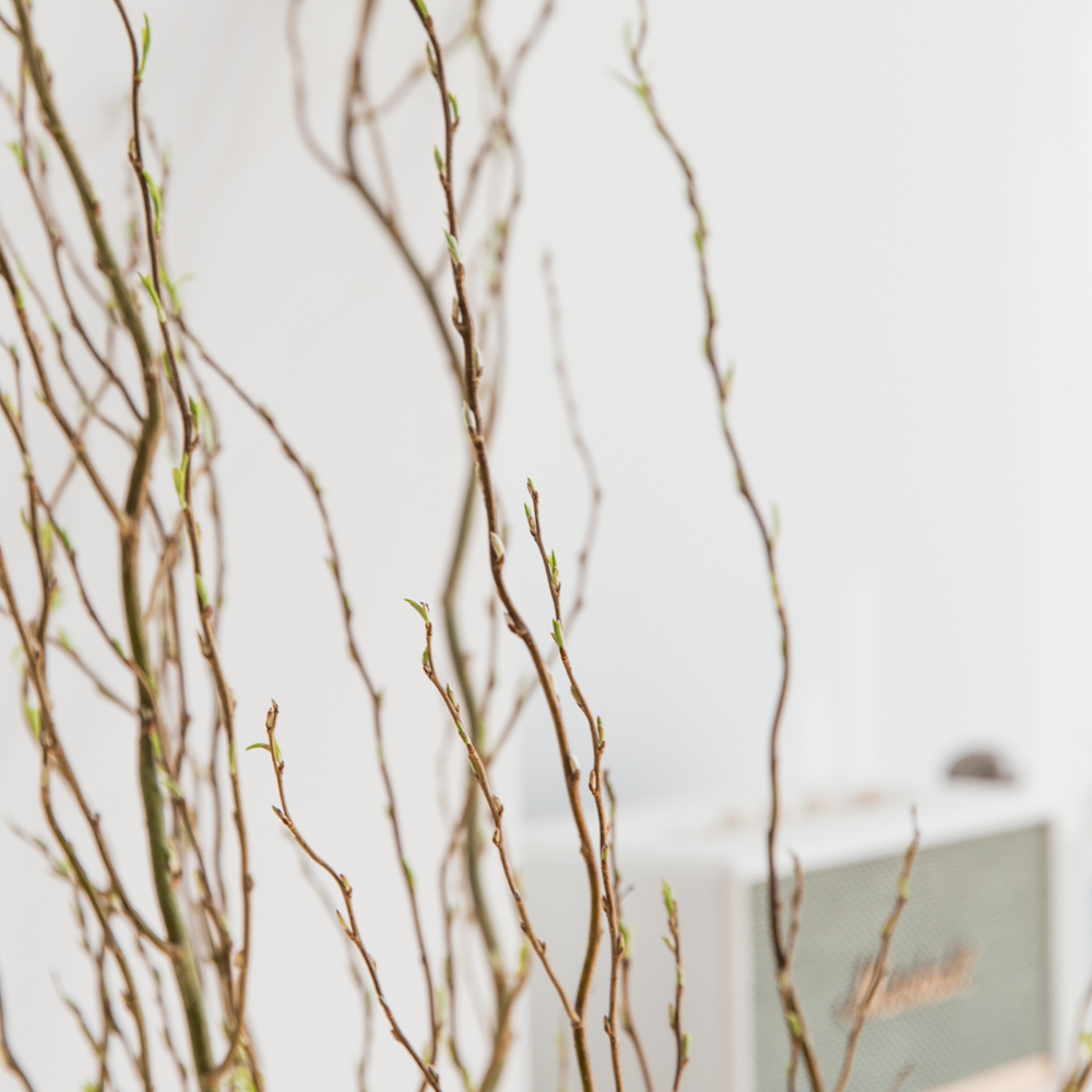 생화 곱슬버들 1.1m 나뭇가지 플랜테리어 음지 실내공기정화 키우기쉬운 반려 식물인테리어