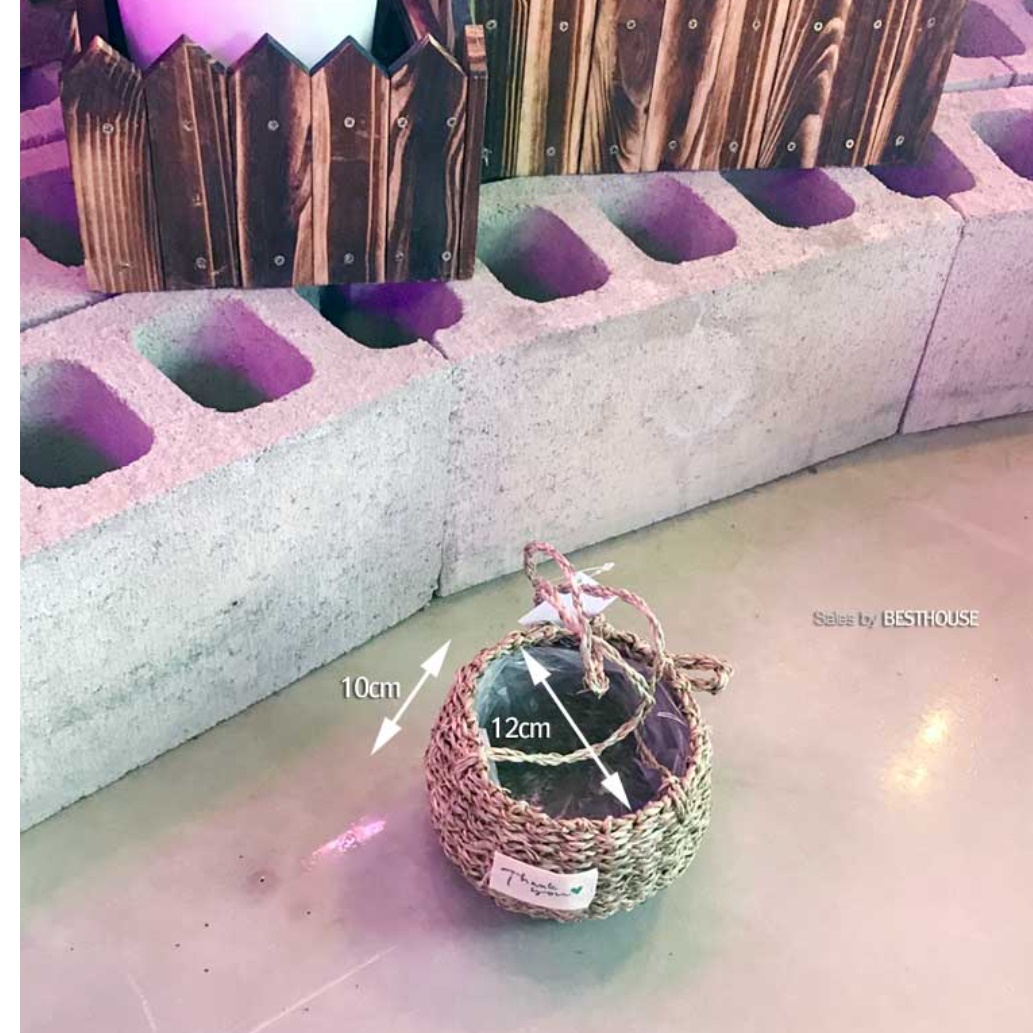 라탄화분바구니 라틴 행잉바스켓 벽걸이 라탄 꽃 바구니 미니 우드 소쿠리 걸이식 해초 고리 - 상세 이미지 2