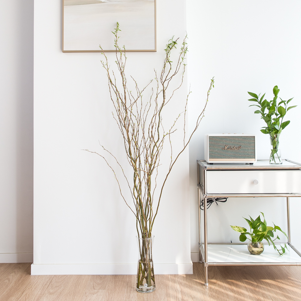 생화 곱슬버들 1.1m 나뭇가지 플랜테리어 음지 실내공기정화 키우기쉬운 반려 식물인테리어