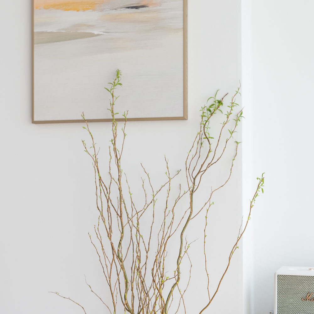 생화 곱슬버들 1.1m 나뭇가지 플랜테리어 음지 실내공기정화 키우기쉬운 반려 식물인테리어