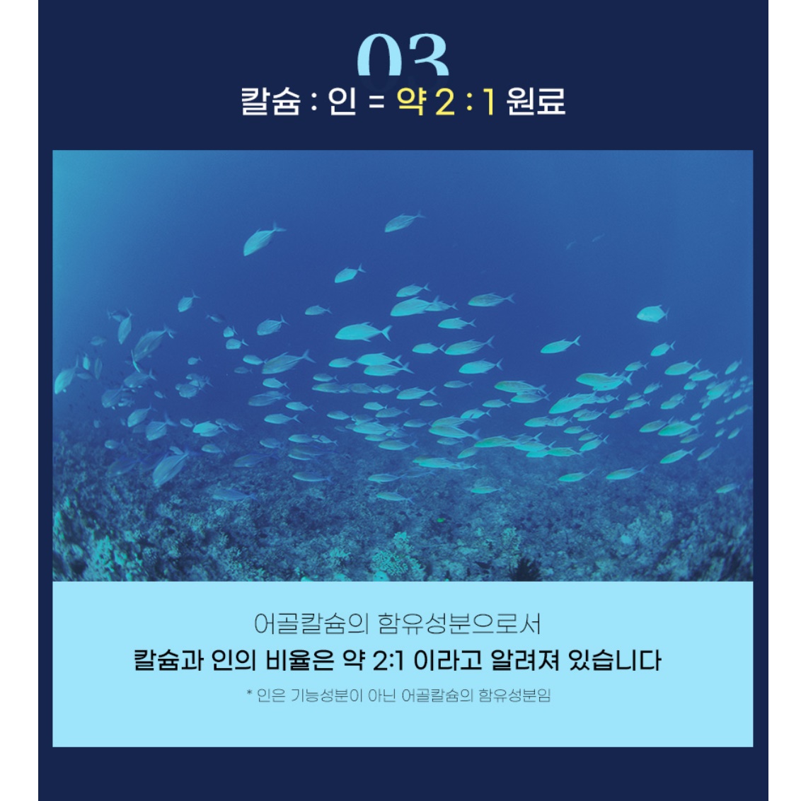 뼈에 좋은 영양제 이일화 어골 칼슘 마그네슘 비타민d 1개월분 - 상세 이미지 5