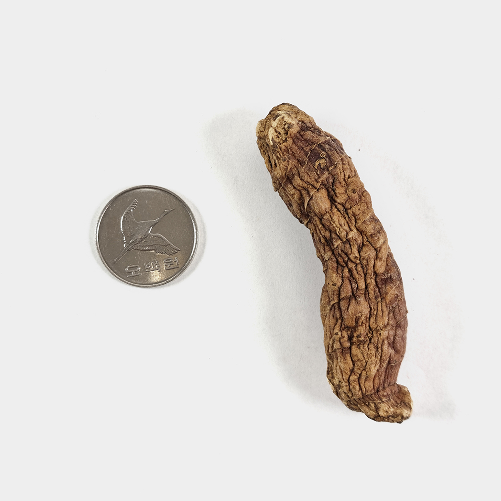 국산 볶은 둥굴레 차 250g - 상세 이미지 5