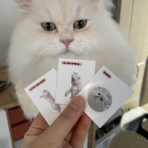 띠부띠부씰 주문제작 스티커 굿즈 다꾸 연예인 강아지 고양이 캐릭터 테두리... 실사용 후기 | 효과 있을까? - 상품 이미지 2