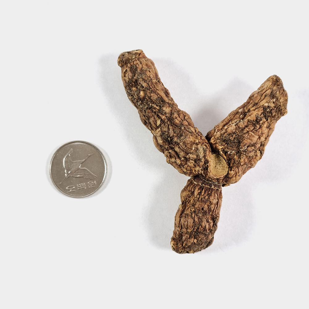 국산 볶은 둥굴레 차 250g - 상세 이미지 4