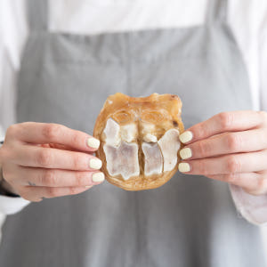 강아지 수제 간식 소형견 뼈간식 대형견 치석제거 개껌 우족 100g 솔직 후기 | 실제 사용자 리뷰 총정리 - 상품 이미지 3