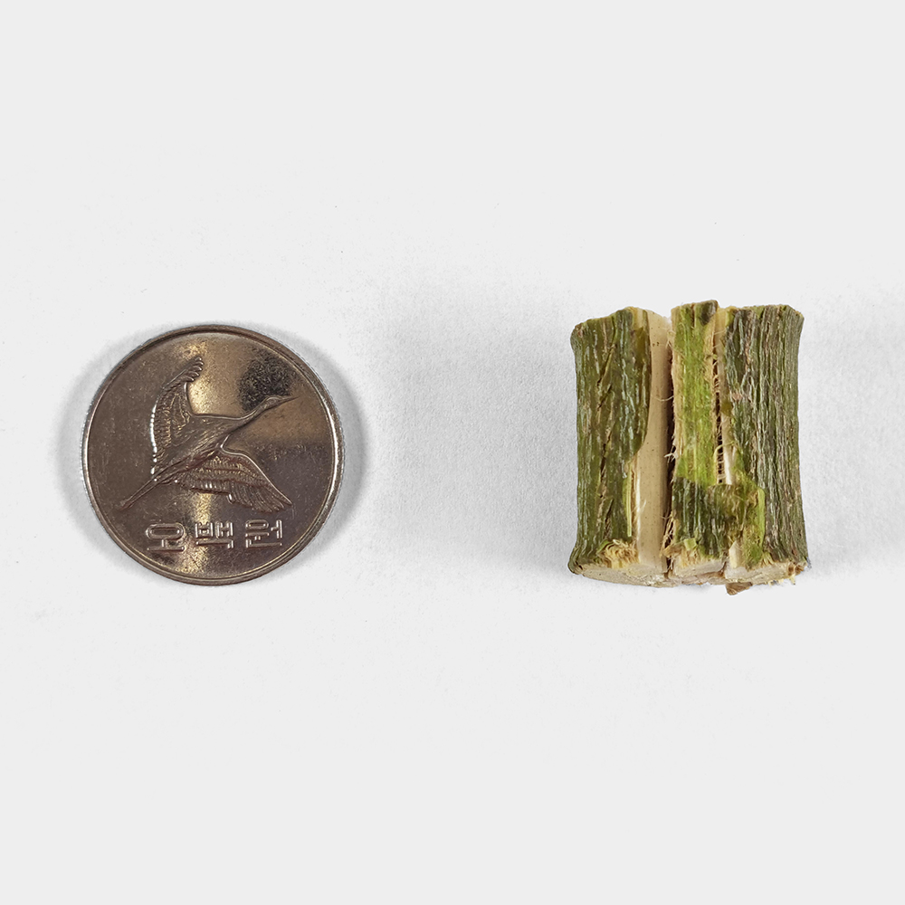 국산 버드나무 가지 250g - 상세 이미지 4