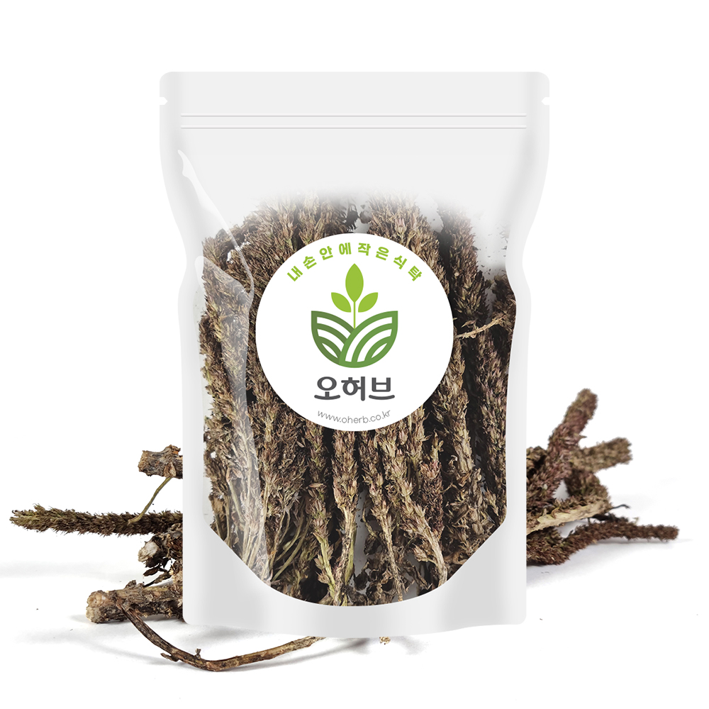 국산 건와송 와송 100g 와송주 제품 이미지