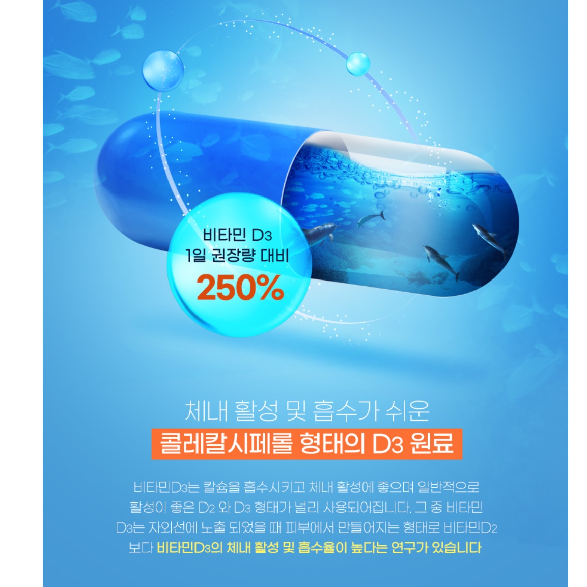 뼈에 좋은 영양제 이일화 어골 칼슘 마그네슘 비타민d 1개월분 - 상세 이미지 2