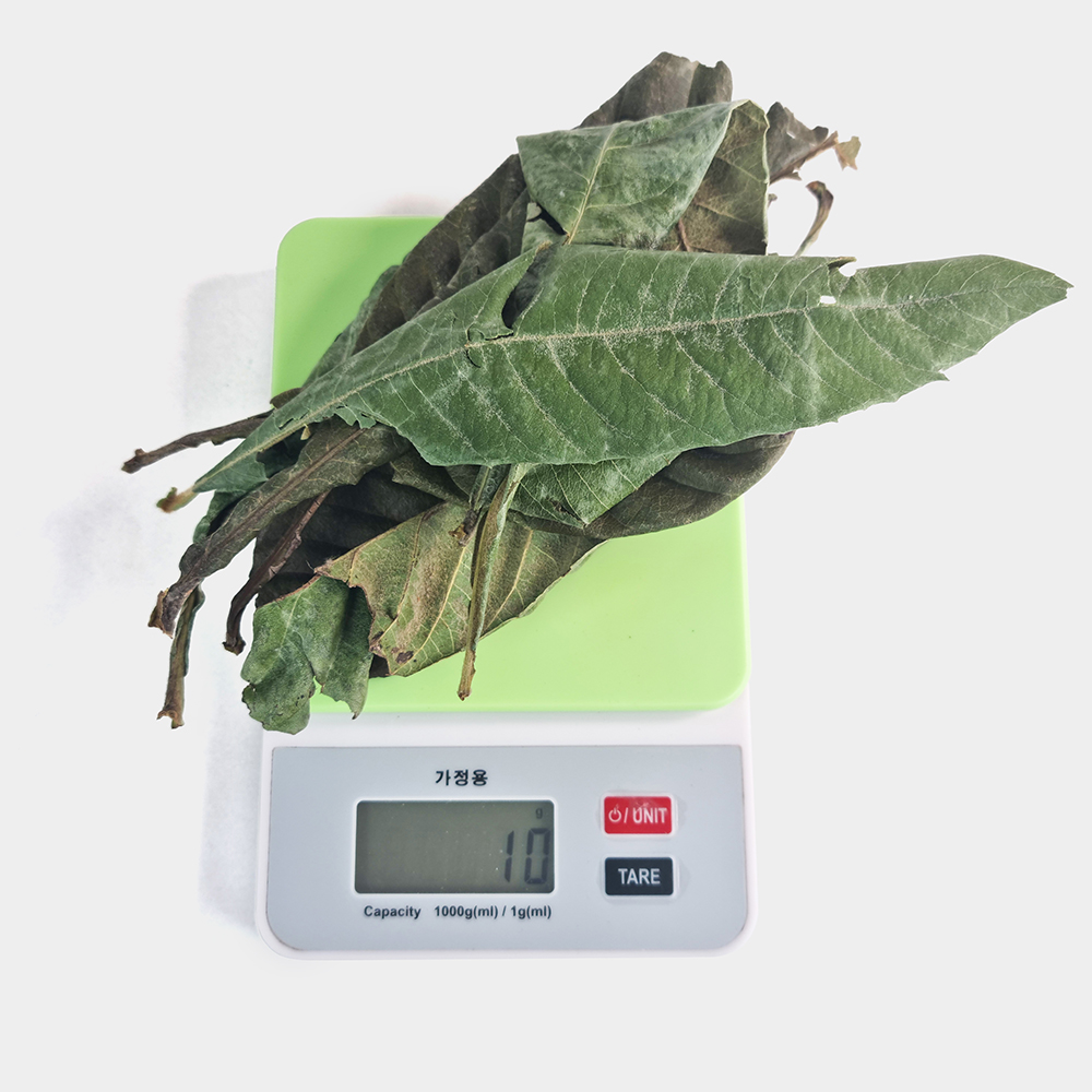 국내산 비파잎 비파나무잎 250g - 상세 이미지 5