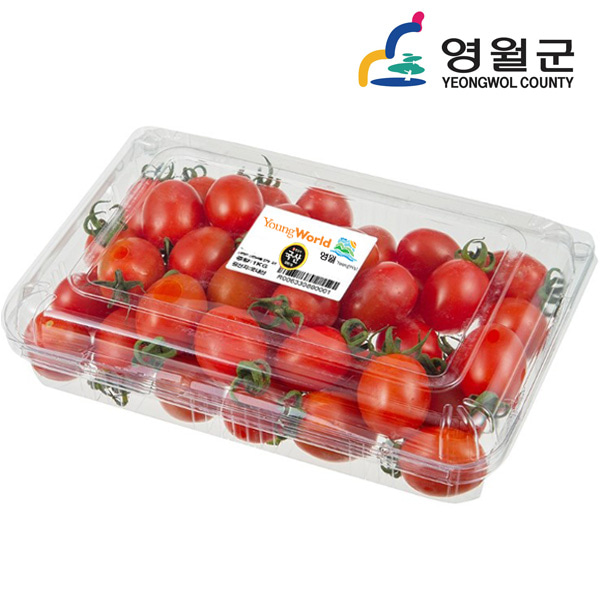 [동강애] 강원도 영월 대추토마토 750g/30~40개 : 아이원세븐