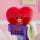 Line Friends BT21 TATA Mininini Face Cushion