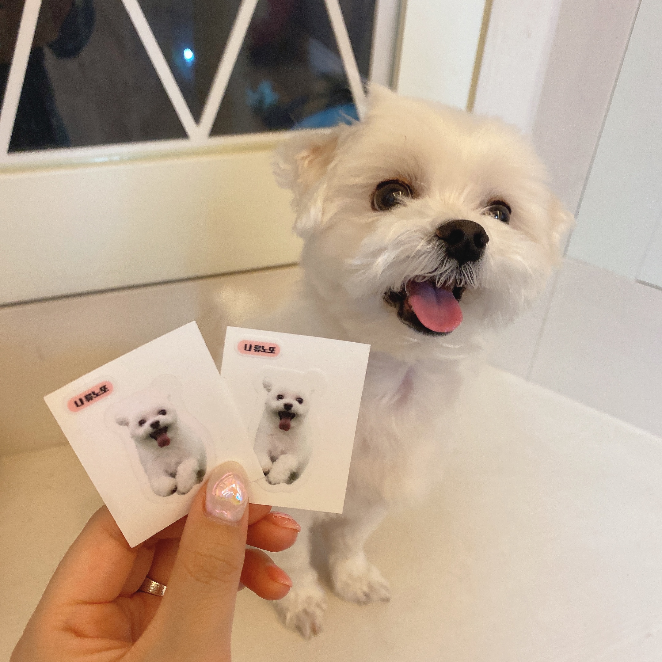띠부띠부씰 주문제작 스티커 굿즈 다꾸 연예인 강아지 고양이 캐릭터 테두리 투명 10장세트 이미지 3
