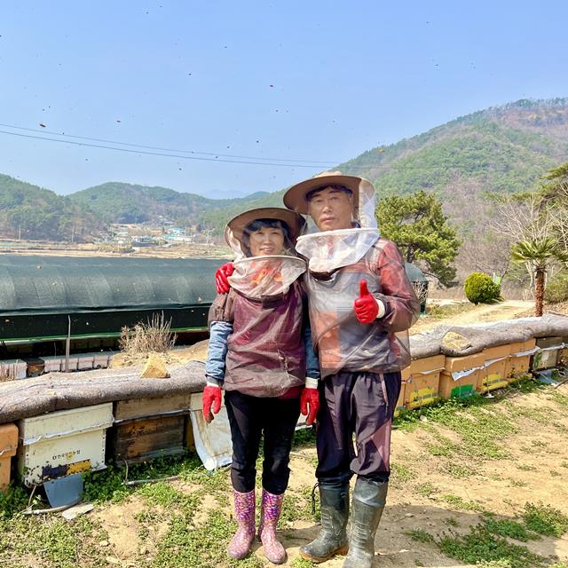 꿀며든다 밤꿀 꿀스틱 국산 12g 90개 이미지 2