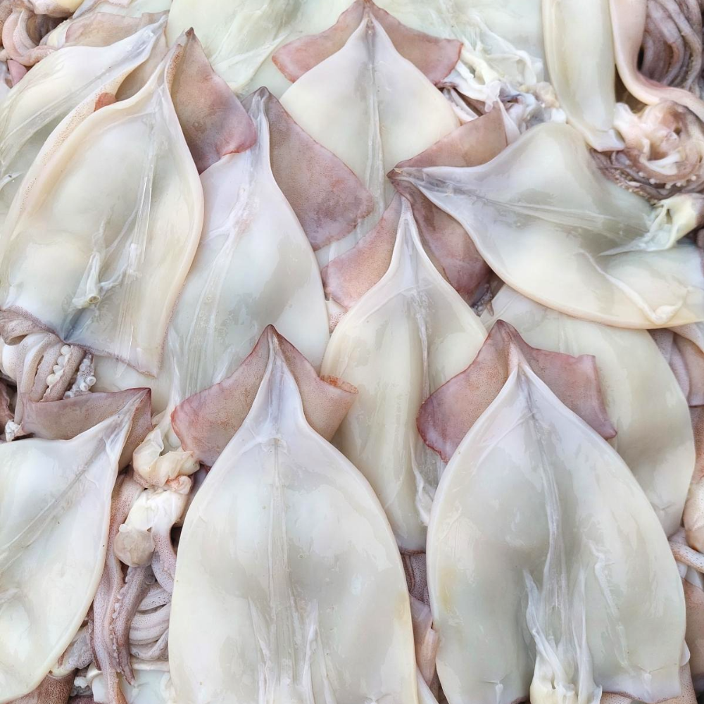 오징어엄마 원양산 냉동 손질오징어 생물 선동 물 생오징어 1kg