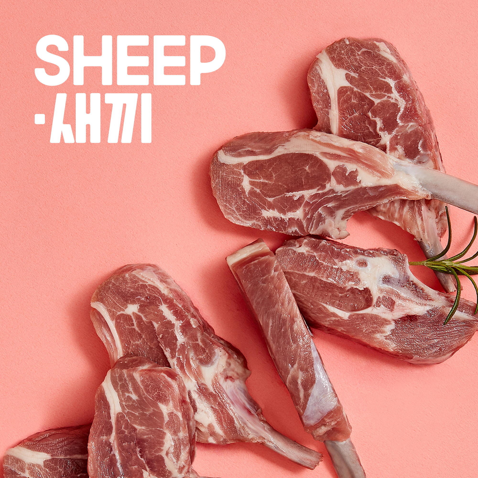 3개월미만 숄더랙-양갈비 양고기 밀키트 캠핑 쉽새끼 목초육 숄더렉 수육