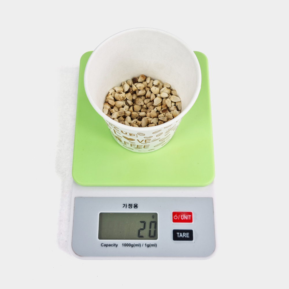 중국산 홍화씨 홍아씨 500g - 상세 이미지 5