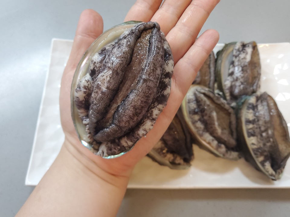 완도 활 전복 1kg 크기 6미부터40마리 특대전복 꼬마전복 선물세트 4남매털보아빠