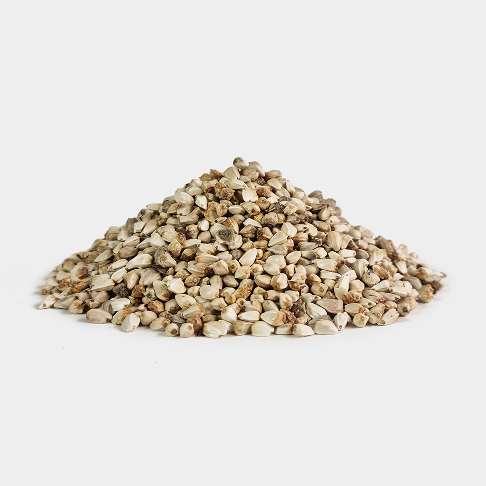 중국산 홍화씨 홍아씨 500g - 상세 이미지 2