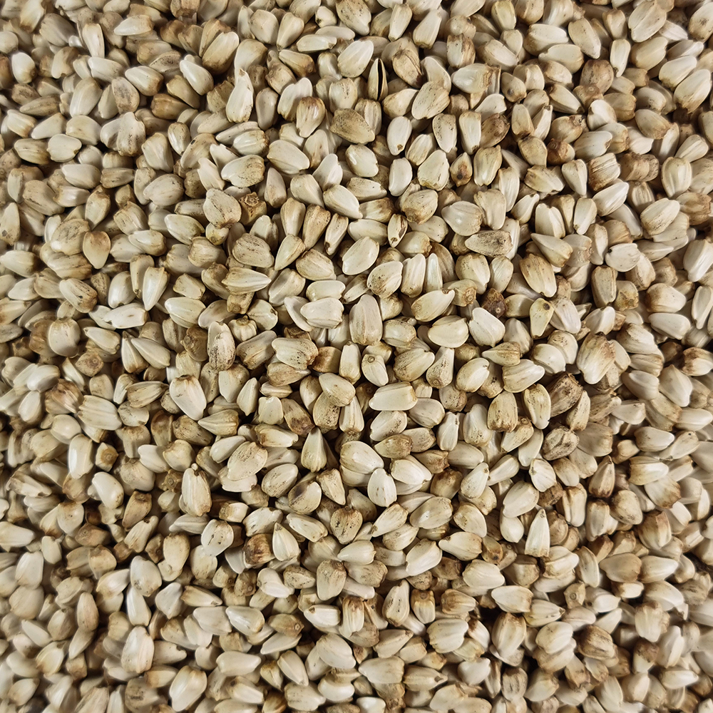 국산 볶은 홍화씨 홍아씨 500g 이미지 4