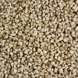 국산 볶은 홍화씨 홍아씨 500g 맛있게 먹은 솔직 후기 - 상품 이미지 4